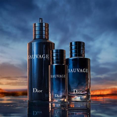 dior sauvage 60 ml sephora|sauvage Dior price in usa.